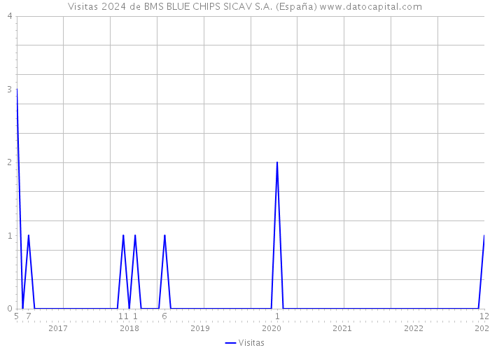Visitas 2024 de BMS BLUE CHIPS SICAV S.A. (España) 