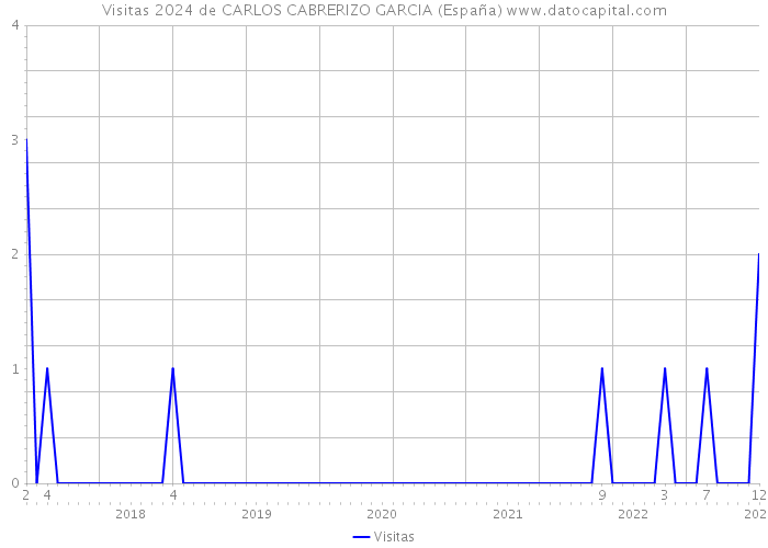 Visitas 2024 de CARLOS CABRERIZO GARCIA (España) 