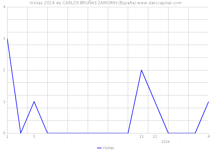 Visitas 2024 de CARLOS BRUÑAS ZAMORIN (España) 