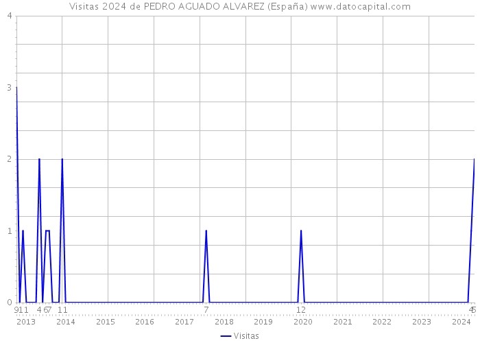 Visitas 2024 de PEDRO AGUADO ALVAREZ (España) 