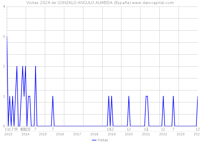 Visitas 2024 de GONZALO ANGULO ALMEIDA (España) 