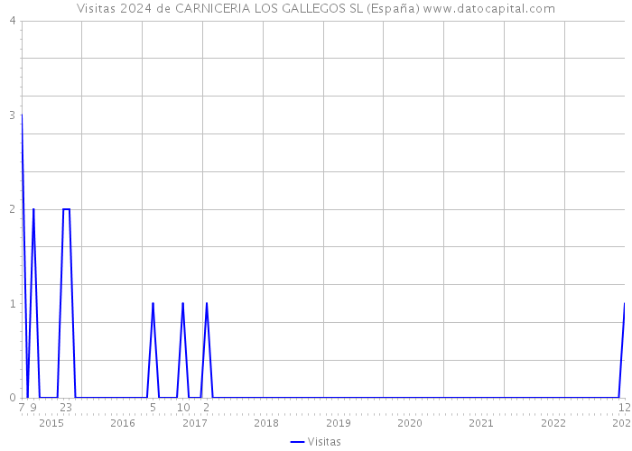 Visitas 2024 de CARNICERIA LOS GALLEGOS SL (España) 
