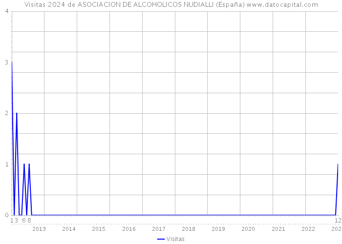 Visitas 2024 de ASOCIACION DE ALCOHOLICOS NUDIALLI (España) 