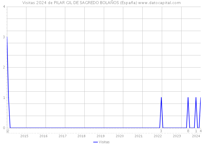 Visitas 2024 de PILAR GIL DE SAGREDO BOLAÑOS (España) 