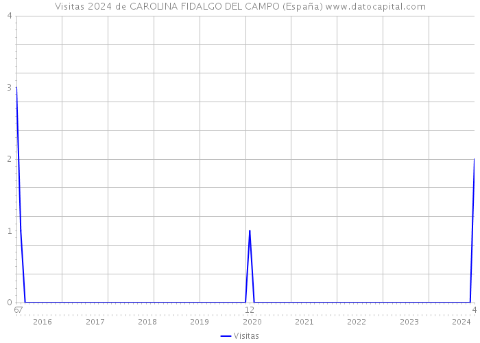 Visitas 2024 de CAROLINA FIDALGO DEL CAMPO (España) 