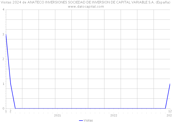 Visitas 2024 de ANATECO INVERSIONES SOCIEDAD DE INVERSION DE CAPITAL VARIABLE S.A. (España) 