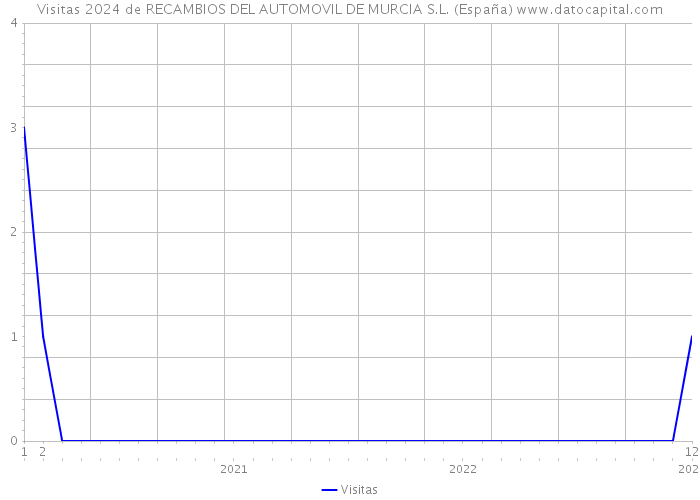 Visitas 2024 de RECAMBIOS DEL AUTOMOVIL DE MURCIA S.L. (España) 