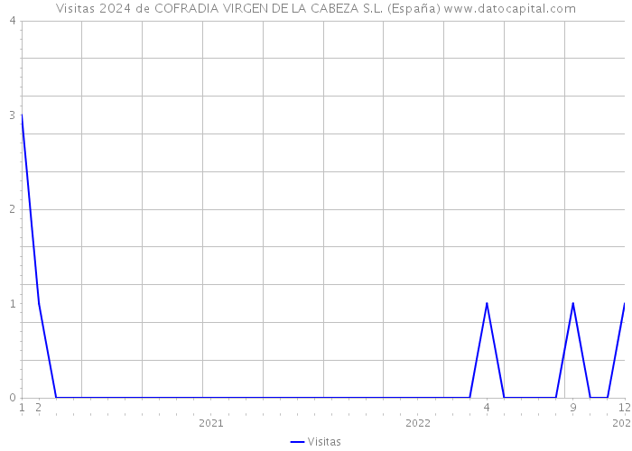Visitas 2024 de COFRADIA VIRGEN DE LA CABEZA S.L. (España) 
