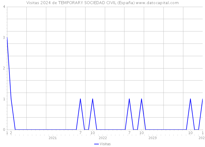 Visitas 2024 de TEMPORARY SOCIEDAD CIVIL (España) 