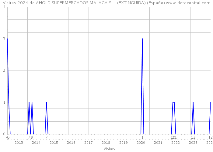 Visitas 2024 de AHOLD SUPERMERCADOS MALAGA S.L. (EXTINGUIDA) (España) 