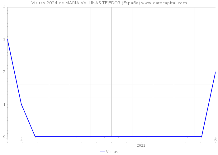 Visitas 2024 de MARIA VALLINAS TEJEDOR (España) 