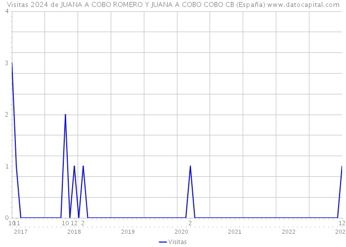 Visitas 2024 de JUANA A COBO ROMERO Y JUANA A COBO COBO CB (España) 