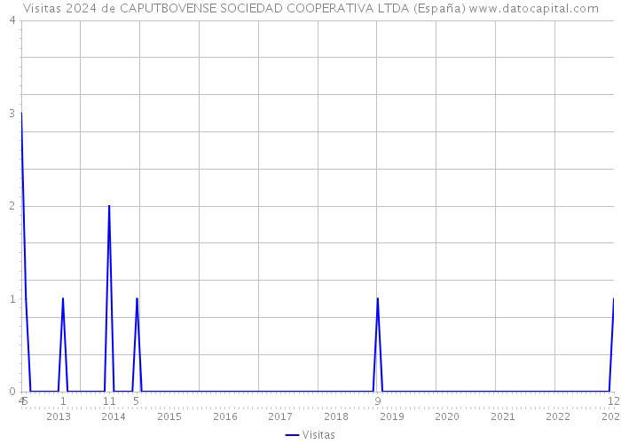 Visitas 2024 de CAPUTBOVENSE SOCIEDAD COOPERATIVA LTDA (España) 