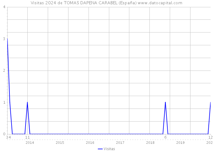 Visitas 2024 de TOMAS DAPENA CARABEL (España) 