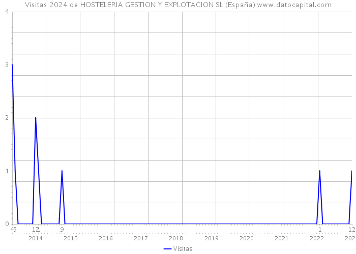 Visitas 2024 de HOSTELERIA GESTION Y EXPLOTACION SL (España) 