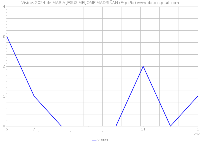 Visitas 2024 de MARIA JESUS MEIJOME MADRIÑAN (España) 