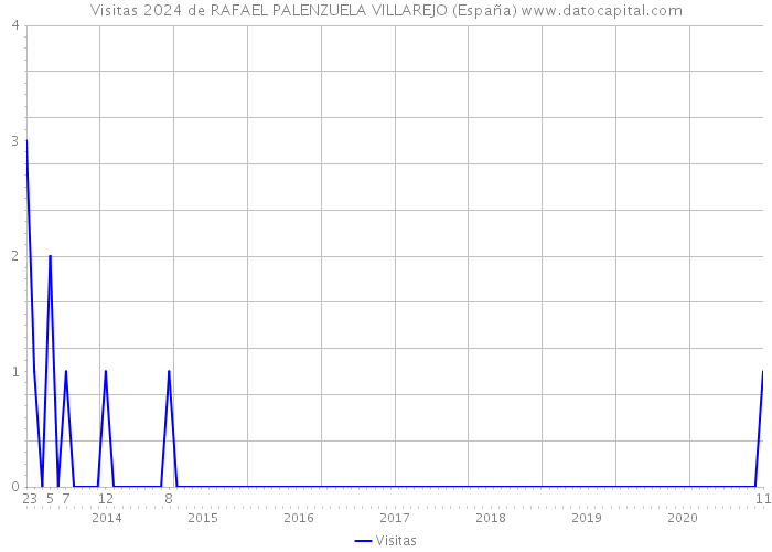 Visitas 2024 de RAFAEL PALENZUELA VILLAREJO (España) 