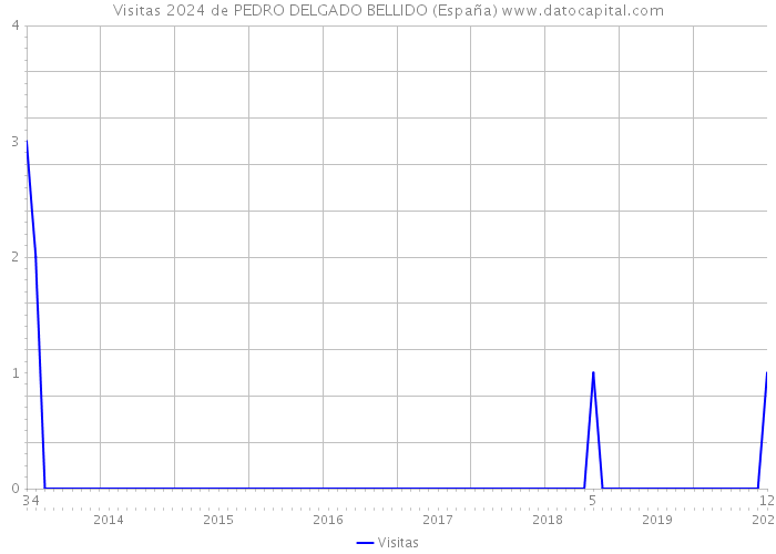 Visitas 2024 de PEDRO DELGADO BELLIDO (España) 