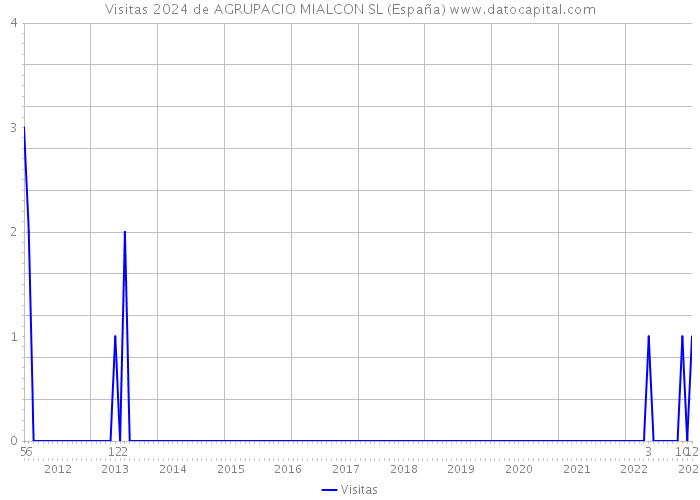 Visitas 2024 de AGRUPACIO MIALCON SL (España) 