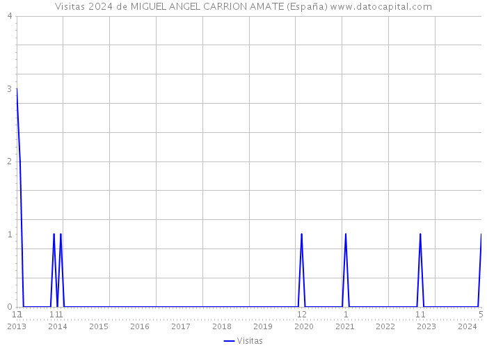 Visitas 2024 de MIGUEL ANGEL CARRION AMATE (España) 