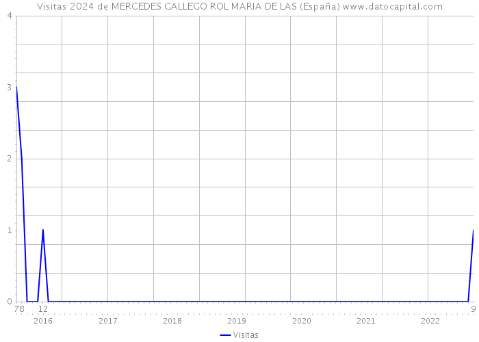Visitas 2024 de MERCEDES GALLEGO ROL MARIA DE LAS (España) 