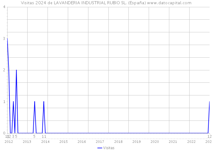 Visitas 2024 de LAVANDERIA INDUSTRIAL RUBIO SL. (España) 
