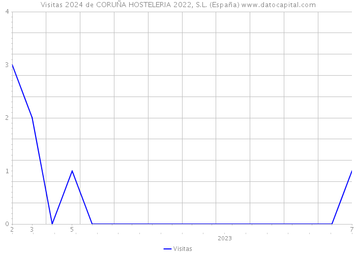Visitas 2024 de CORUÑA HOSTELERIA 2022, S.L. (España) 