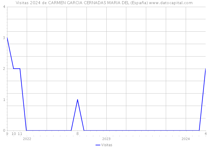 Visitas 2024 de CARMEN GARCIA CERNADAS MARIA DEL (España) 