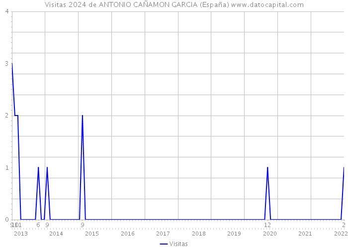 Visitas 2024 de ANTONIO CAÑAMON GARCIA (España) 