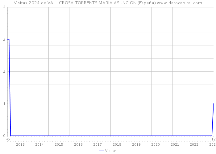 Visitas 2024 de VALLICROSA TORRENTS MARIA ASUNCION (España) 