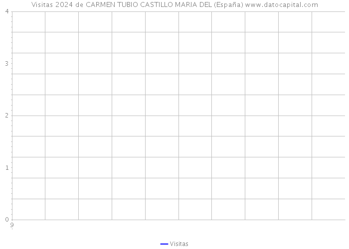 Visitas 2024 de CARMEN TUBIO CASTILLO MARIA DEL (España) 