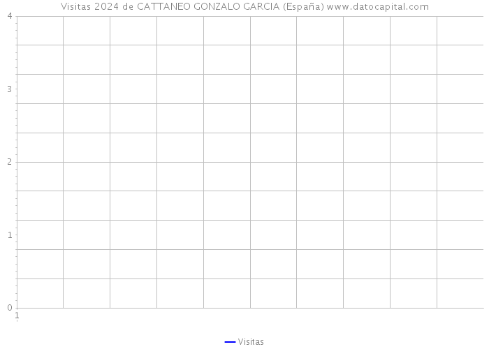 Visitas 2024 de CATTANEO GONZALO GARCIA (España) 