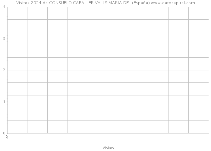 Visitas 2024 de CONSUELO CABALLER VALLS MARIA DEL (España) 
