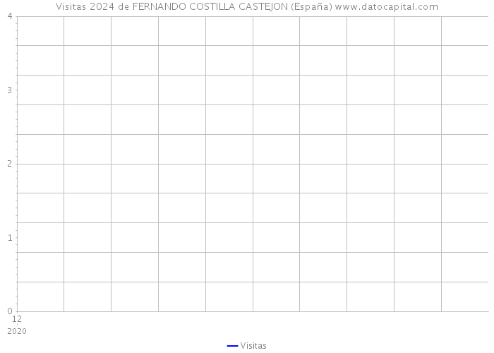 Visitas 2024 de FERNANDO COSTILLA CASTEJON (España) 
