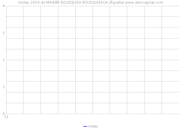 Visitas 2024 de MAIDER EGUSQUIZA EGUSQUIZAGA (España) 