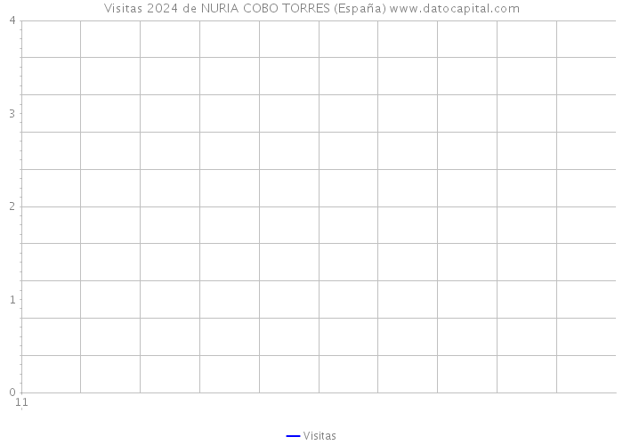 Visitas 2024 de NURIA COBO TORRES (España) 