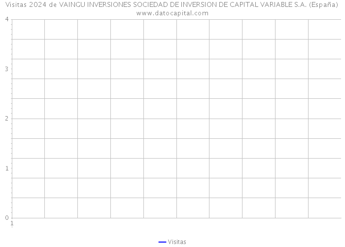 Visitas 2024 de VAINGU INVERSIONES SOCIEDAD DE INVERSION DE CAPITAL VARIABLE S.A. (España) 