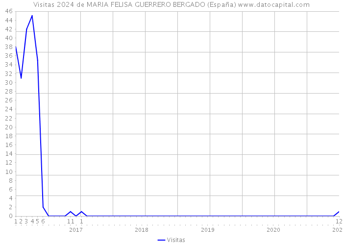 Visitas 2024 de MARIA FELISA GUERRERO BERGADO (España) 