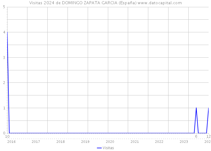 Visitas 2024 de DOMINGO ZAPATA GARCIA (España) 