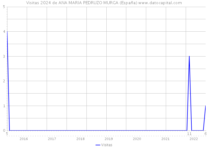 Visitas 2024 de ANA MARIA PEDRUZO MURGA (España) 
