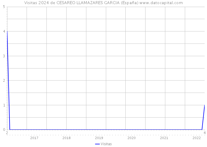 Visitas 2024 de CESAREO LLAMAZARES GARCIA (España) 