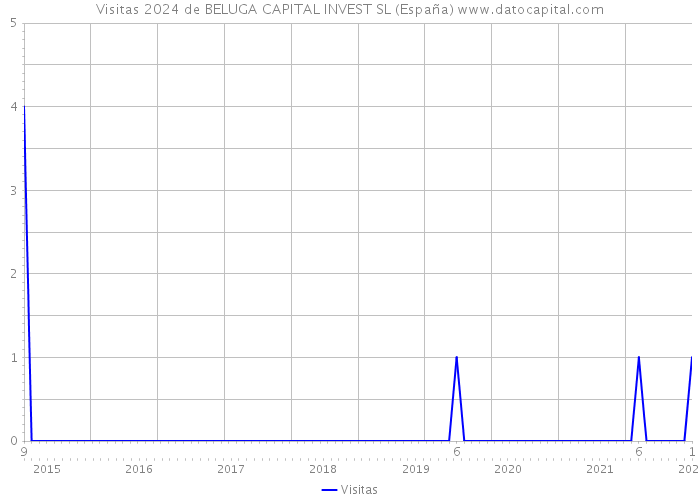 Visitas 2024 de BELUGA CAPITAL INVEST SL (España) 