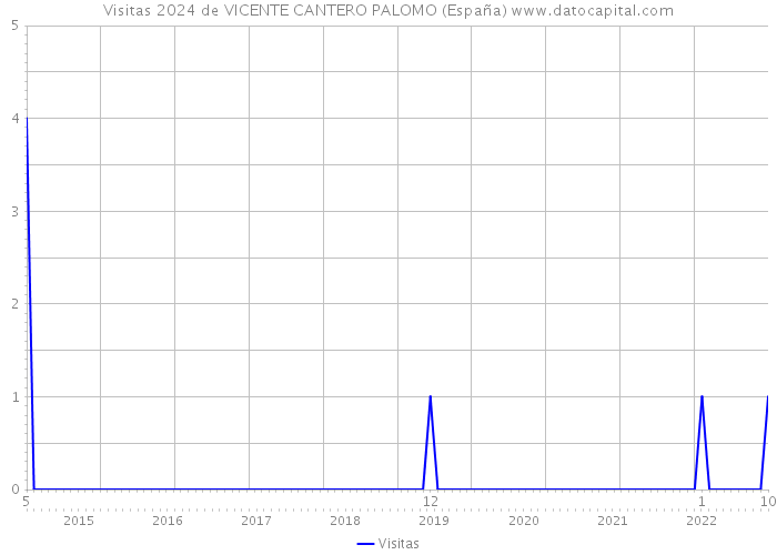 Visitas 2024 de VICENTE CANTERO PALOMO (España) 