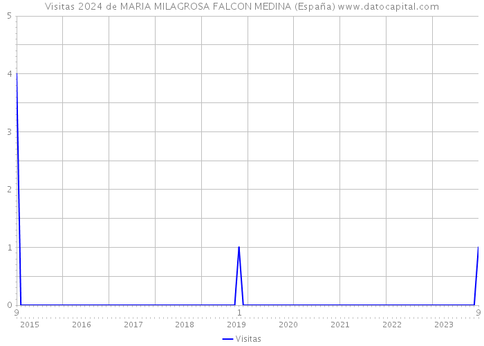 Visitas 2024 de MARIA MILAGROSA FALCON MEDINA (España) 