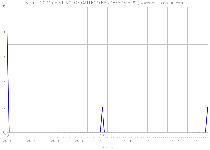 Visitas 2024 de MILAGROS GALLEGO BANDERA (España) 