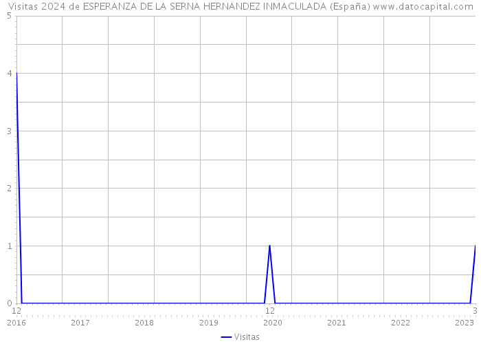 Visitas 2024 de ESPERANZA DE LA SERNA HERNANDEZ INMACULADA (España) 