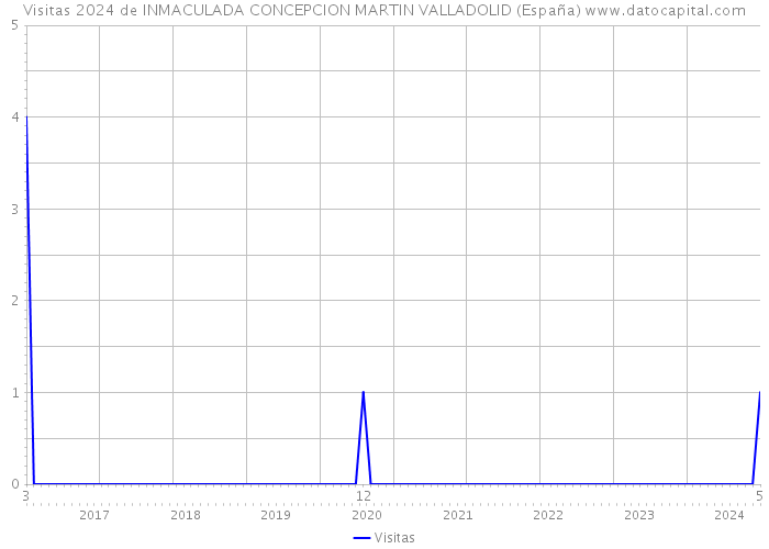 Visitas 2024 de INMACULADA CONCEPCION MARTIN VALLADOLID (España) 