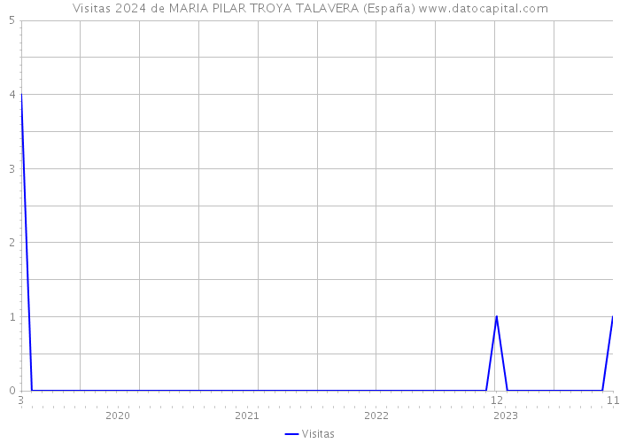 Visitas 2024 de MARIA PILAR TROYA TALAVERA (España) 