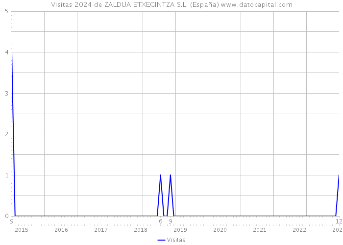 Visitas 2024 de ZALDUA ETXEGINTZA S.L. (España) 
