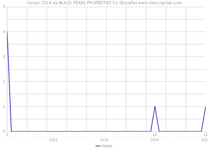 Visitas 2024 de BLACK PEARL PROPERTIES S.L (España) 
